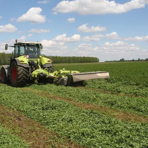 Lucerna oltott vetőmag Adorna fajta 5 kg