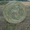 Mohar vetőmag 2,5 kg