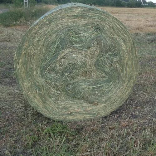Mohar vetőmag 2,5 kg