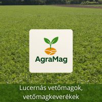 Lucerna vetőmag - lucernás keverékek