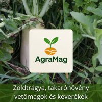 Zöldtrágya, takarónövény vetőmagok és keverékek