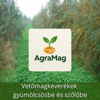 Vetőmagkeverékek gyümölcsösbe és szőlőbe