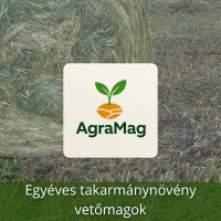 Egyéves takarmánynövény vetőmagok